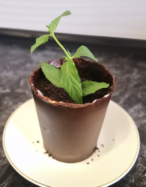 Цветочный горшок